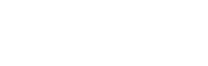 EIS Council